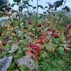*alt_photos_gallery_image_4*
