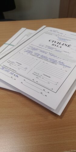 Teismui reikalingi teisėjo padėjėjai
